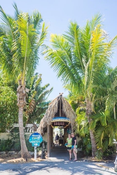 sunny day people pose at tiki bar entrance flanked by palms