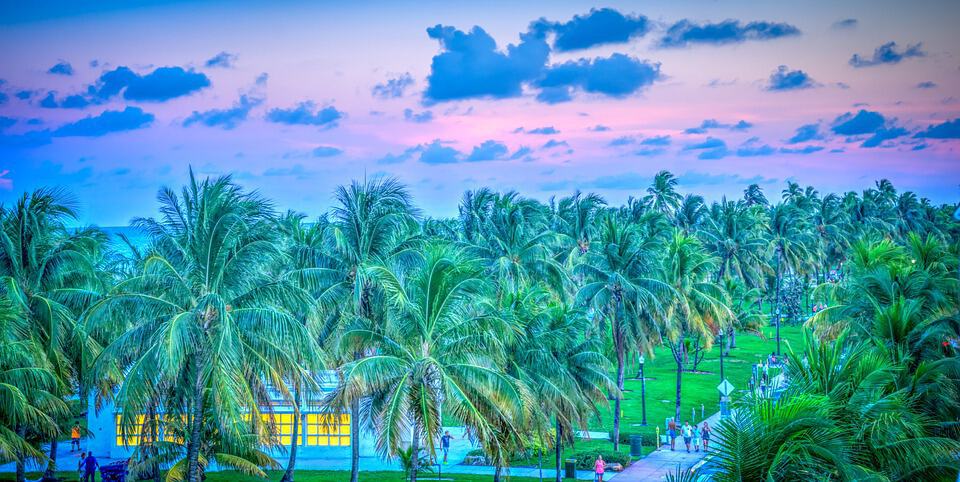 palm tree filled beach park at sunset